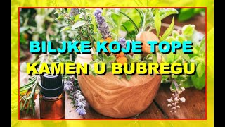 BILJKE KOJE TOPE KAMEN U BUBREZIMA [upl. by Nnylacissej]