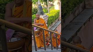 With younger monks and Guru Bodhgaya Biharshakyamunibuddha india shakyamunibiographyofbuddh563 [upl. by Yehs364]