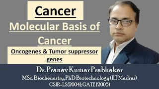 Cancer Biology Molecular basis of Cancer Protooncogenes Oncogenes and Tumor Suppressor genes [upl. by Diogenes]