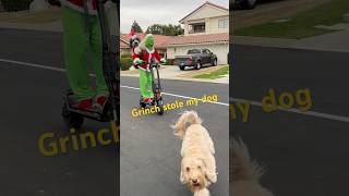 The grinch stole my dog funnydogs [upl. by Ettennig472]