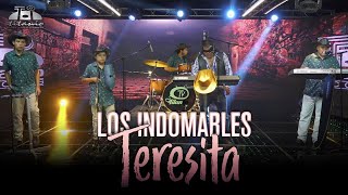 Los Indomables  Teresita Official Video [upl. by Shanleigh716]