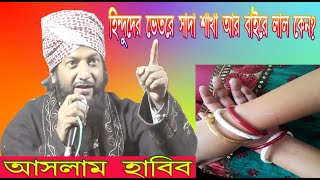 Aslam Habibআসলাম হাবিব Bangla Waz  হিন্দুদের ভিতরে সাদা শাখা আর বাইরে লাল কেন [upl. by Kcirderfla]