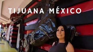 Showing You Around Tijuana Mexico  Hong Kong  Walking Tour mexico tijuana viral [upl. by Assenad]