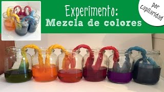 Experimentos caseros para niños capilaridad y mezcla de colores [upl. by Aamsa]