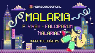 MALARIA PALUDISMO  Plasmodium vivax malariae falciparum  Clínica Diagnóstico Tratamiento  INFECTO [upl. by Fablan249]