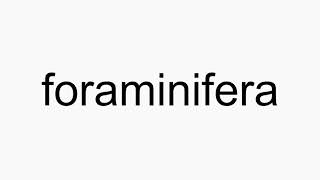 How to pronounce foraminifera [upl. by Nade510]