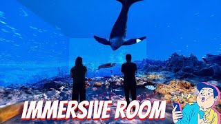 Immersive Room Revealed A Complete Guide to 360Degree Projection Experiences [upl. by Crist489]