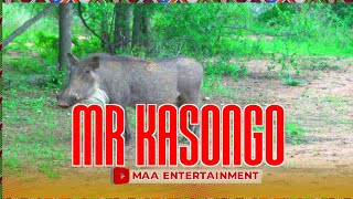 MR KASONGO V16 [upl. by Anica]