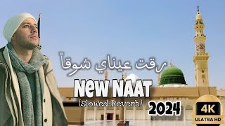 Raqqat aina ya shoqan slowed reverb 2024New versionlofi naat [upl. by Sloatman546]