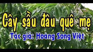 Karaoke vọng cổ CÂY SẦU ĐÂU QUÊ MẸ  KÉP [upl. by Aikrahs]