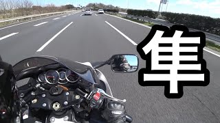 GSX1300R 隼 高速街乗り峠での走りが王者だった【バイク史上初の300kmhの壁を超えた世界最速マシンをインプレ】 [upl. by Ezra]