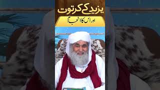 Yazeed Paleet  bayan by Molana Ilyas Qadri dawateislami madnichannel [upl. by Maya]