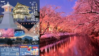 青森 弘前公園「冬に咲くさくらライトアップ」「弘前城雪燈籠まつり」を見よう 2024211 [upl. by Hameean297]