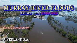 Murray River Floods 2023  Part Six  Berri to Blanchetown [upl. by Jodoin601]