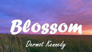 Dermot Kennedy  Blossom lyrics [upl. by Ettenan]