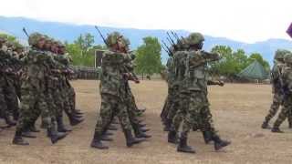 DESFILE JURAMENTO DE BANDERA [upl. by Yllier507]