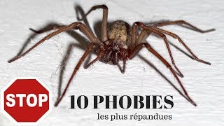 Comment traiter vos phobies [upl. by Nirag]