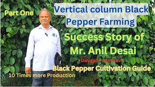 Vertical Black Pepper Farming I Black Pepper Cultivation Guide Part One कोकणातील काळीमिरी प्रकल्प [upl. by Idnak]