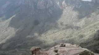 Crowing Ravens  Big Bend National Park  Top of Lost Mines [upl. by Zeph979]