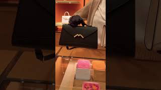 Moynat Gabrielle Clutch price moynat designerbags shorts [upl. by Euqinimod114]