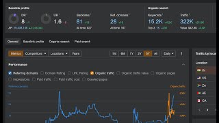 DR 8 Domain with 322k traffic 🤯 [upl. by Anailuy]