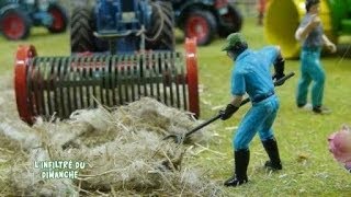 Expo  Les fermes agricoles miniatures de Vibraye [upl. by Nnylyak]