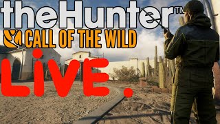 Hunting Rancho Del Arroyo The Hunter Call of the Wild [upl. by Esirehc]