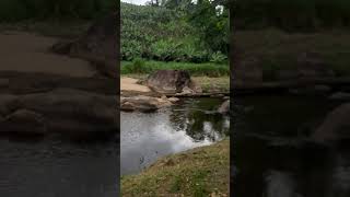 Cachoeira do Salto em Miracatu SP [upl. by Buote]