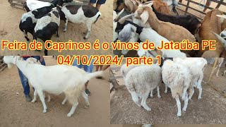 Feira de Caprinos é o vinos de Jataúba PE 04102024 parte 1 [upl. by Scarface943]