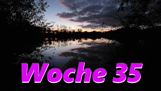 Abnehmtagebuch Woche 35 [upl. by Dnomse]