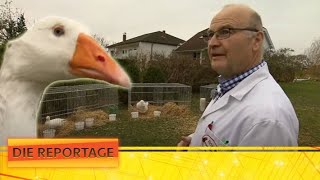 Skurrile Weltmeisterschaften in Österreich 🏅  12  Die Reportage  ATV [upl. by Eldwon]