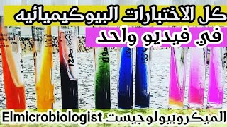 Identification of bacteria Microbiology practical  Biochemical tests شرح بالعربي [upl. by Naimerej]