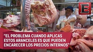 Análisis de la respuesta de México a los aranceles impuestos por EU [upl. by Suoirtemed]