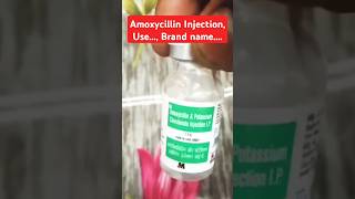 Amoxicillin InjectionUseBrand name shortsfeed youtubeshorts rameshchc injection ytshots [upl. by Gewirtz]