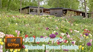 I went to the forest garden in Taisetsu大雪 森のガーデンに行ってきた [upl. by Aiel]