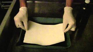 Making a 12 Silver Solution amp coating Albumen Paper [upl. by Koerlin]