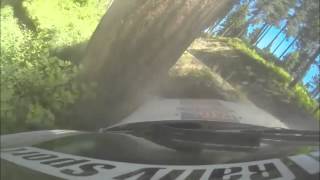 Rally car hits tree during off 50mph [upl. by Zacarias]