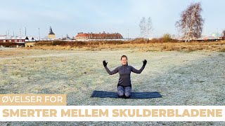 Øvelser mod smerter mellem skulderbladene  15 minutters træning [upl. by Anh951]