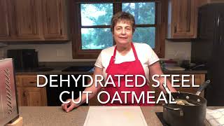 Dehydrating Steel Cut Oats for Effortless Meals How to Dehydrate Oatmeal [upl. by Dulcy]