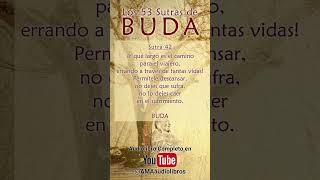 Buda  Sutra 42 Del Audiolibro Los 53 Sutras de Buda audiolibro buda budismo espiritualidad [upl. by Yvon772]