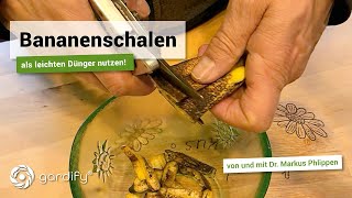 Bananenschalen als leichten Dünger nutzen  gardify Tipps [upl. by Truda678]