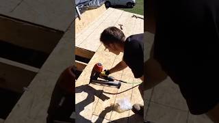 Installing the roof sheathing shedhouse tinyhouse [upl. by Anatolio]