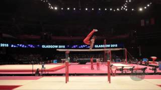 VERBAEYS Jimmy BEL  2015 Artistic Worlds  Qualifications Parallel Bars [upl. by Adnara]