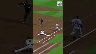 Incredible Defense by Atlanta Braves shorts sports baseball baseballhighlights defense [upl. by Hploda]