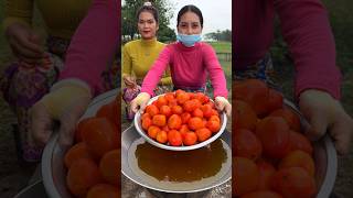 How to cook tomato sauce recipe shortvideo shorts cooking food recipe [upl. by Esta]