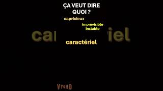 Être CARACTÉRIEL Vocabulaire en français facile learnfrench [upl. by Atinram435]