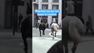 Riderless horses recovered after running loose through London several people injured shorts [upl. by Eilahtan393]