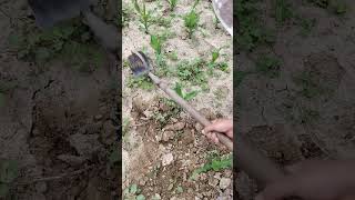 Hand hoe  Soil Trenching spade  Shovel [upl. by Odnanreh]