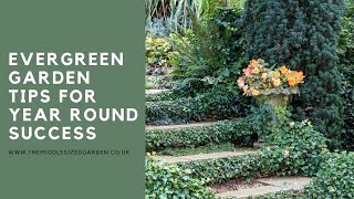 How to use evergreens for a garden that looks beautiful all year round [upl. by Neliak]