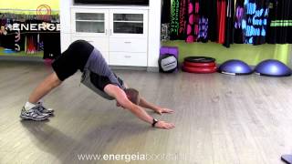 Down Dog Tricep Push Ups [upl. by Nauqed]